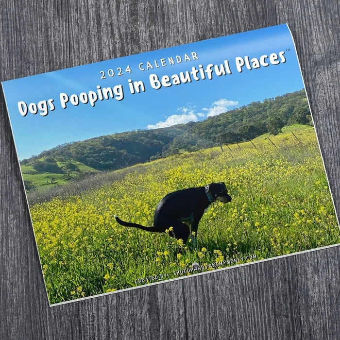 Funniest Calendar-Dogs Pooping in Beautiful Places | "Artistic Expression" of Furry Friends | Stornfield