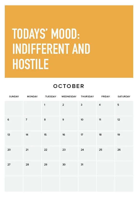 Adulting Is Difficult 2024 Wall Calendar | Stornfield