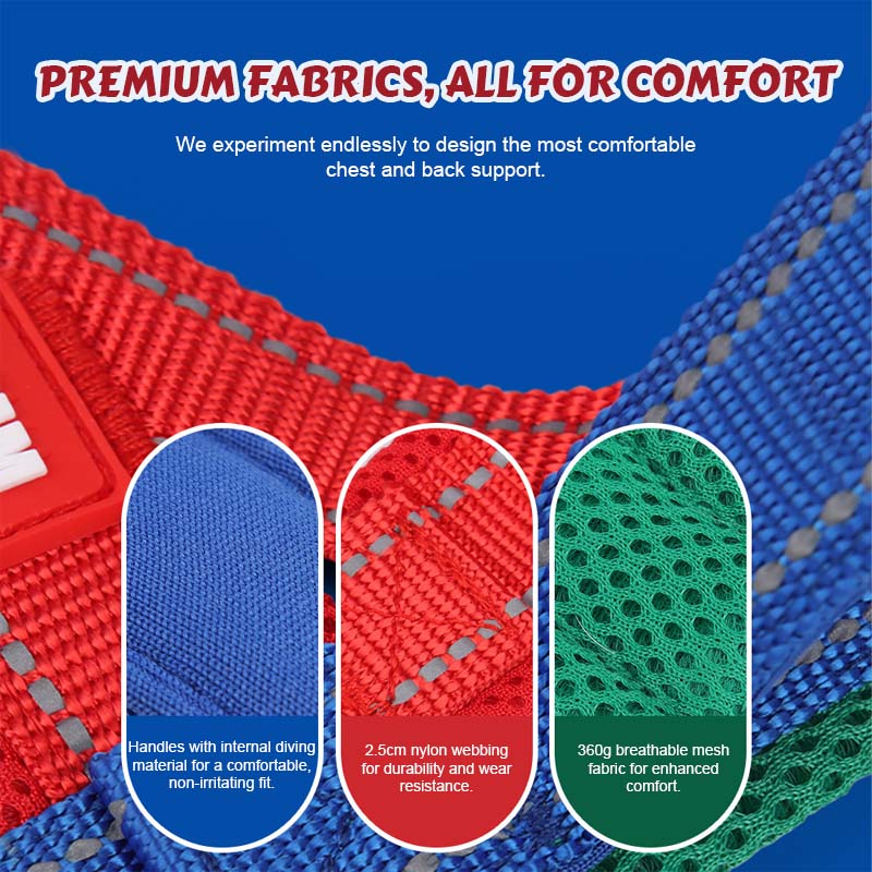 PawEase Comfort Harness — Relaxed Dressing and Unlimited Freedom for Your Dog | Stornfield