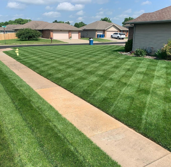 Green Grass Growth Spray | Spray your new lawn! | Stornfield