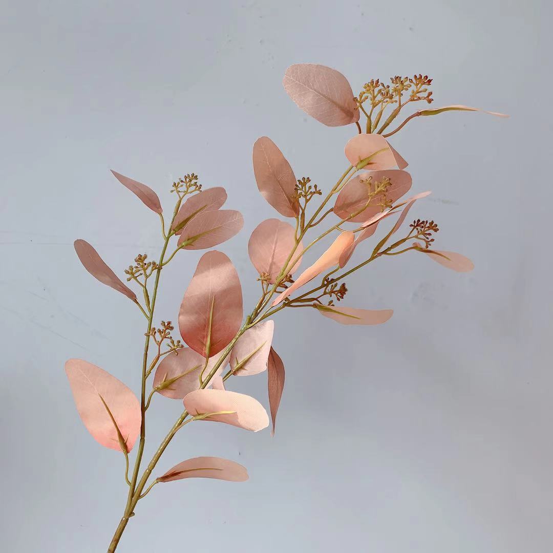 Natural Eucalyptus Stem