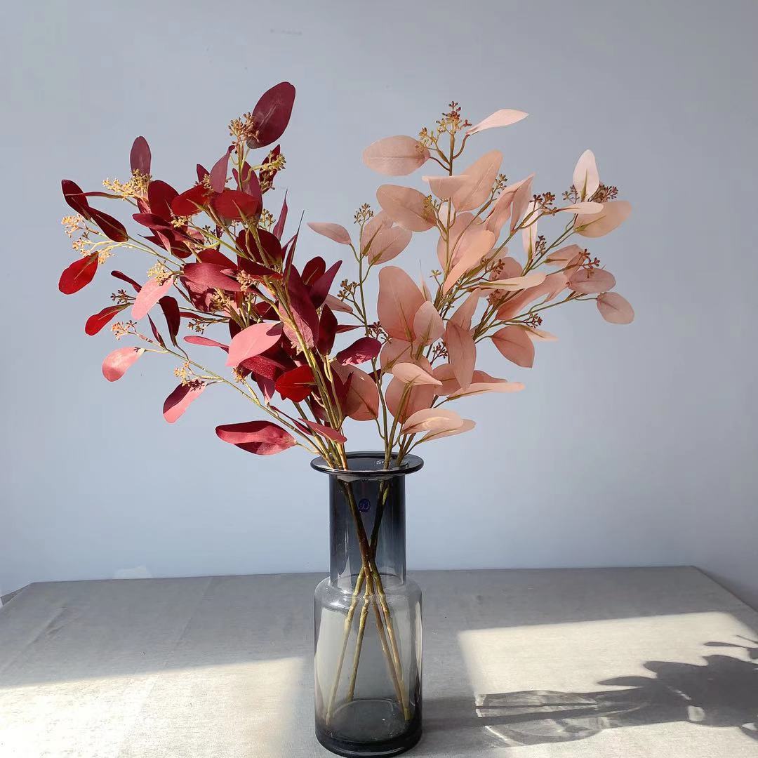 Natural Eucalyptus Stem