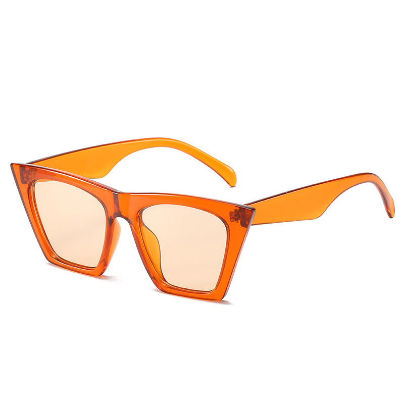 Ladies stylish sunglasses in striking leopard print Stornfield