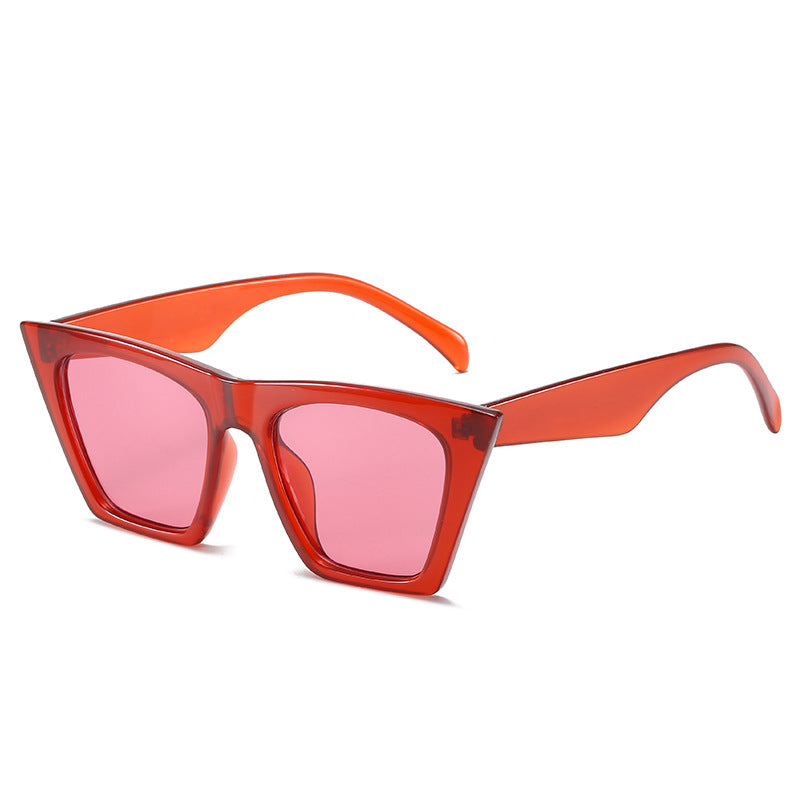 Ladies stylish sunglasses in striking leopard print Stornfield