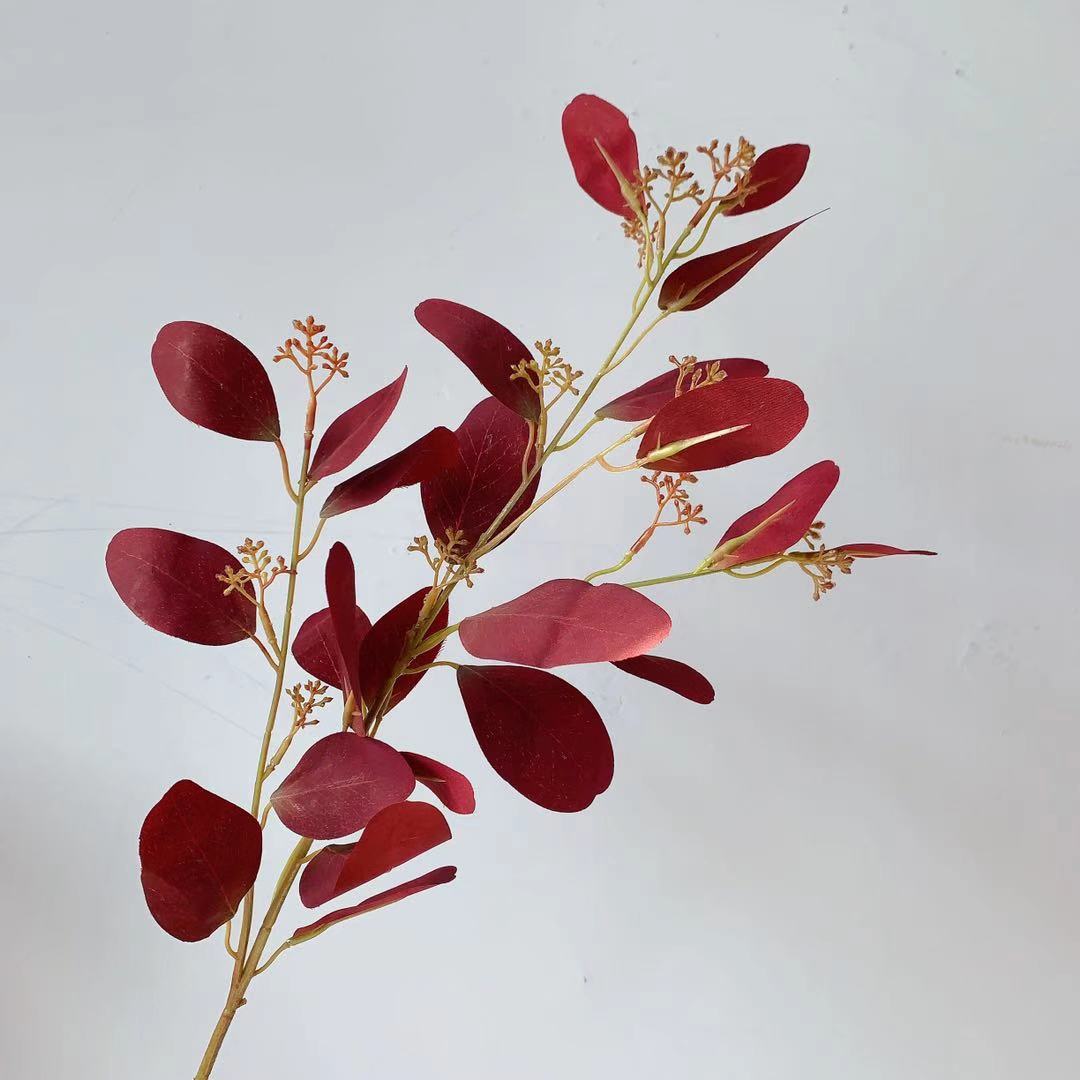 Natural Eucalyptus Stem