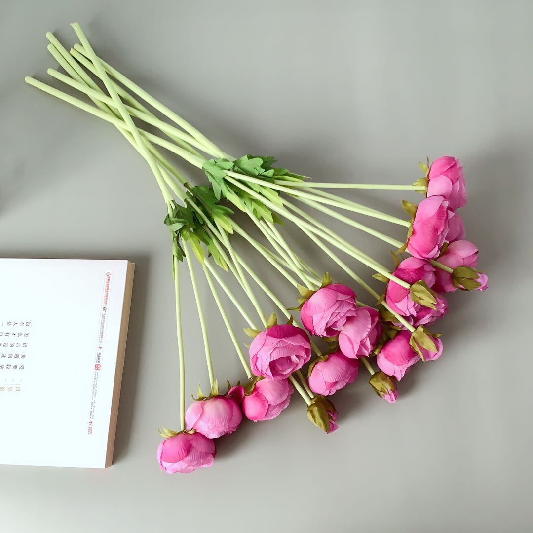 Realistic Peony Flower Stem