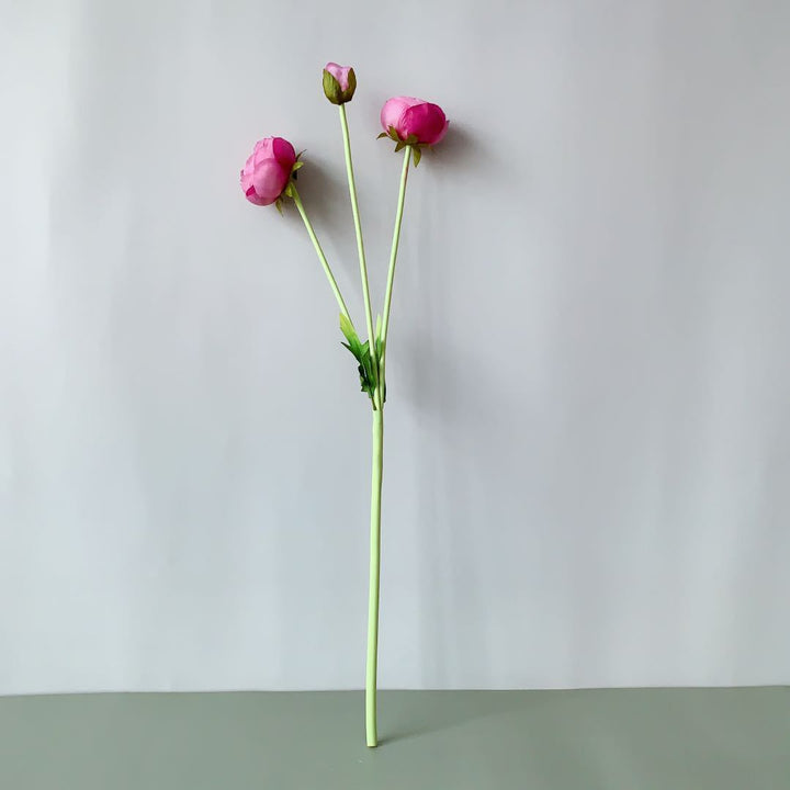 Realistic Peony Flower Stem