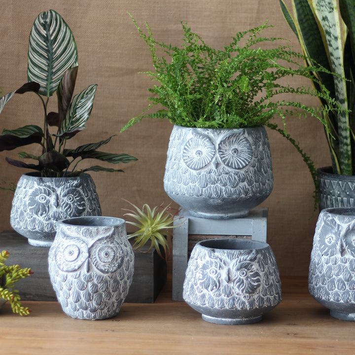 Decorative Owl Ceramic Pot Stornfield