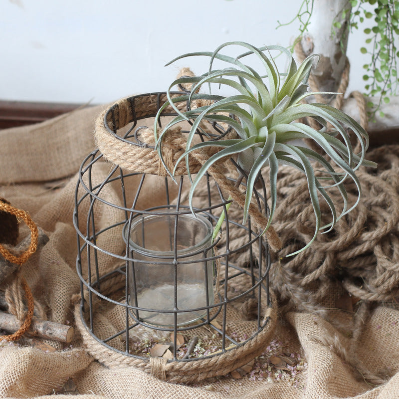 Decorative Lantern Stornfield