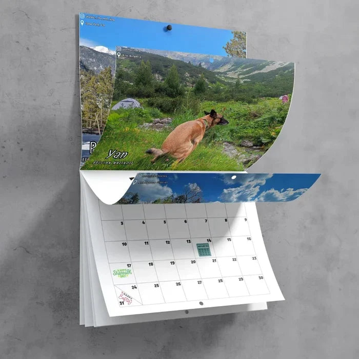 Funniest Calendar-Dogs Pooping in Beautiful Places | "Artistic Expression" of Furry Friends | Stornfield