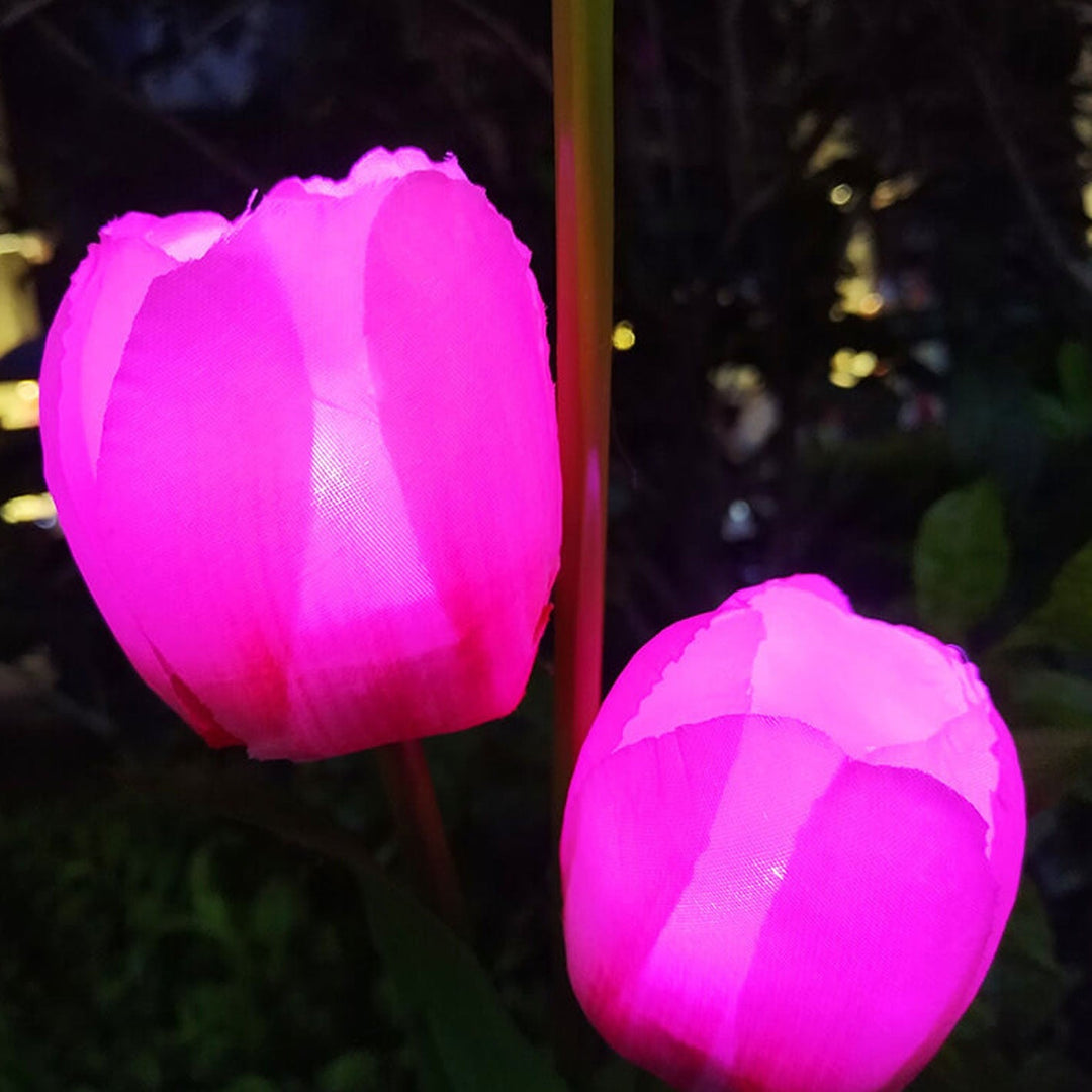Stornfield | Solar Garden Light Tulip LED Landscape Stake Light Tulip