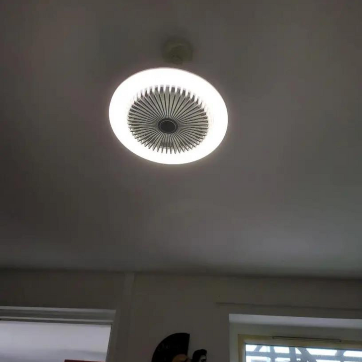 Aromatherapy Bulb Fan | Stornfield