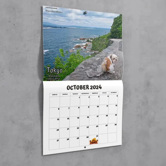 Funniest Calendar-Dogs Pooping in Beautiful Places | "Artistic Expression" of Furry Friends | Stornfield