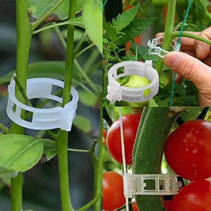 VitaGrip Clips — Strong hold for majestic plants that grow and thrive proudly | Stornfield