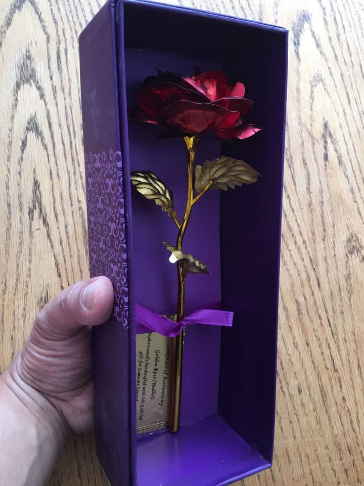 Stornfield | 24K Gold Roses