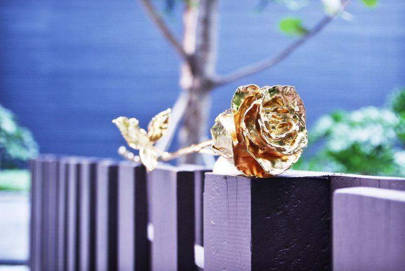 Stornfield | 24K Gold Roses