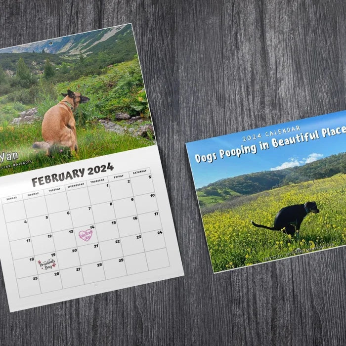 Funniest Calendar-Dogs Pooping in Beautiful Places | "Artistic Expression" of Furry Friends | Stornfield