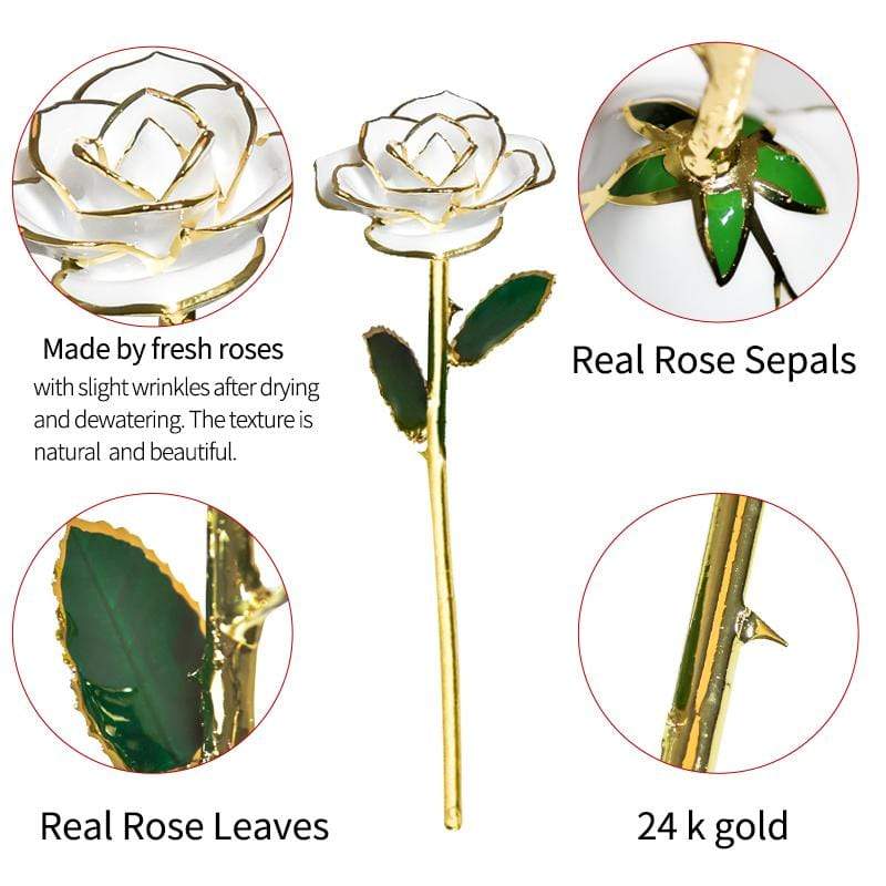 Stornfield | 24k Gold Dipped Everlasting Rose