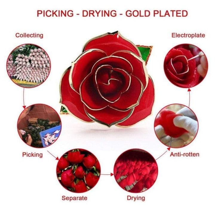 Stornfield | 24k Gold Dipped Everlasting Rose