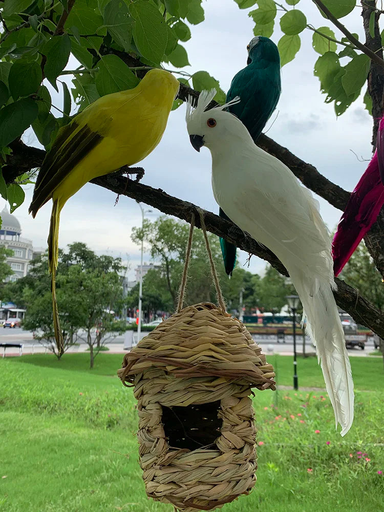 Stornfield | Parrot garden decor - Tropic
