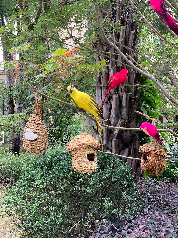 Stornfield | Parrot garden decor - Tropic