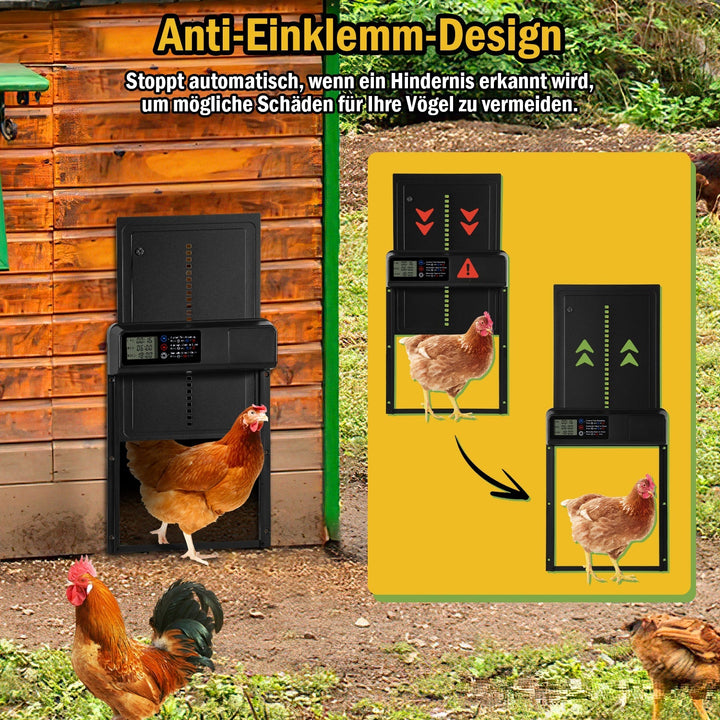 Chicken flap automatic timer | Stornfield