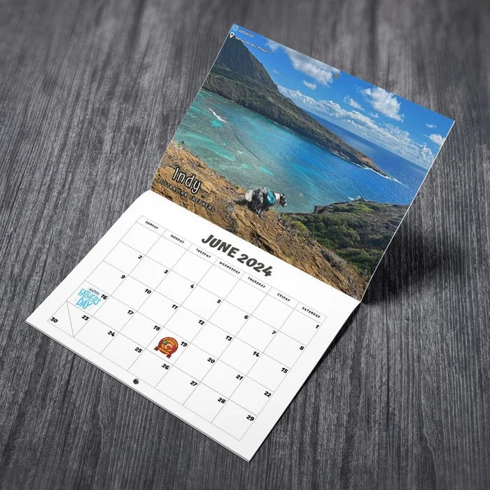 Funniest Calendar-Dogs Pooping in Beautiful Places | "Artistic Expression" of Furry Friends | Stornfield