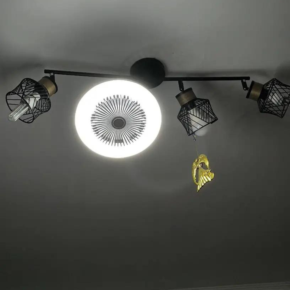 Aromatherapy Bulb Fan | Stornfield