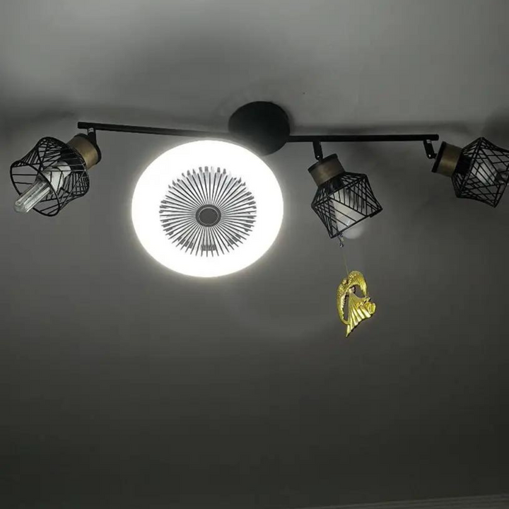 Aromatherapy Bulb Fan | Stornfield