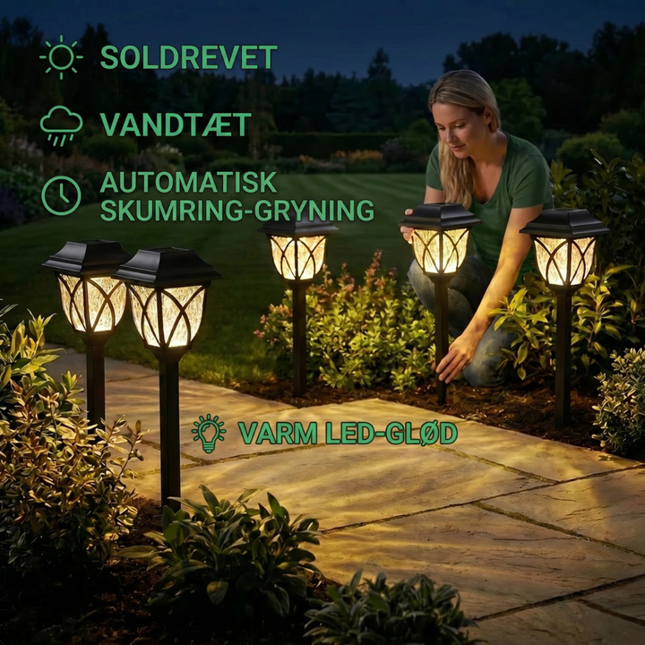 LumaPath Solar Light for Garden Paths | Stornfield