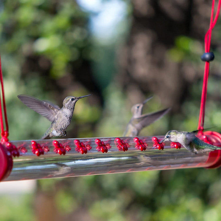 Bob's Best Hummingbird Feeder | Stornfield