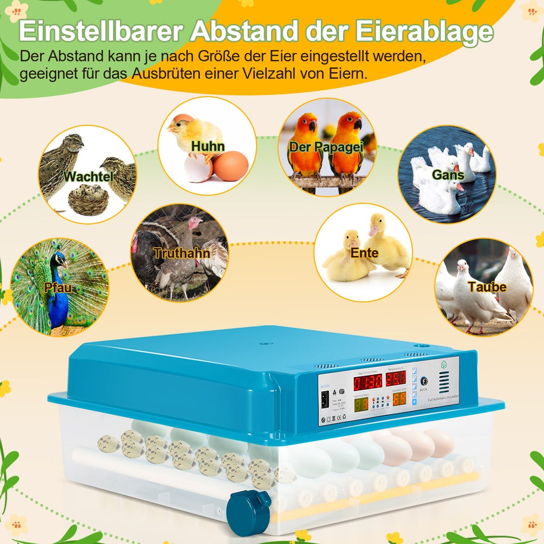 Brutautomat Fully Automatic Incubator for Chickens 64 Eggs | Stornfield
