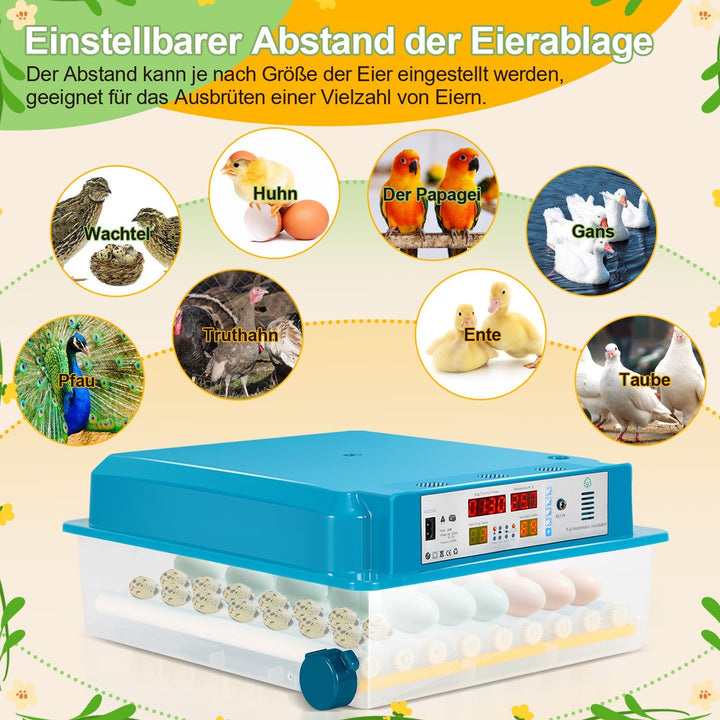 Brutautomat Fully Automatic Incubator for Chickens 64 Eggs | Stornfield