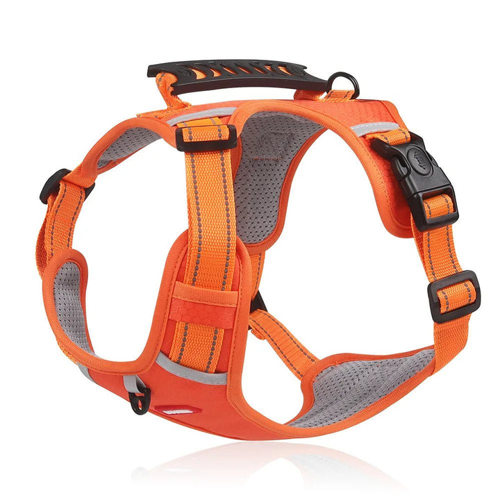 DogGrip Walk safely with your dog | Stornfield