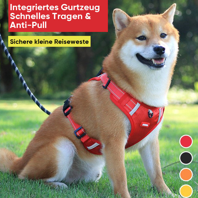 Reflective Dog Harness | Stornfield