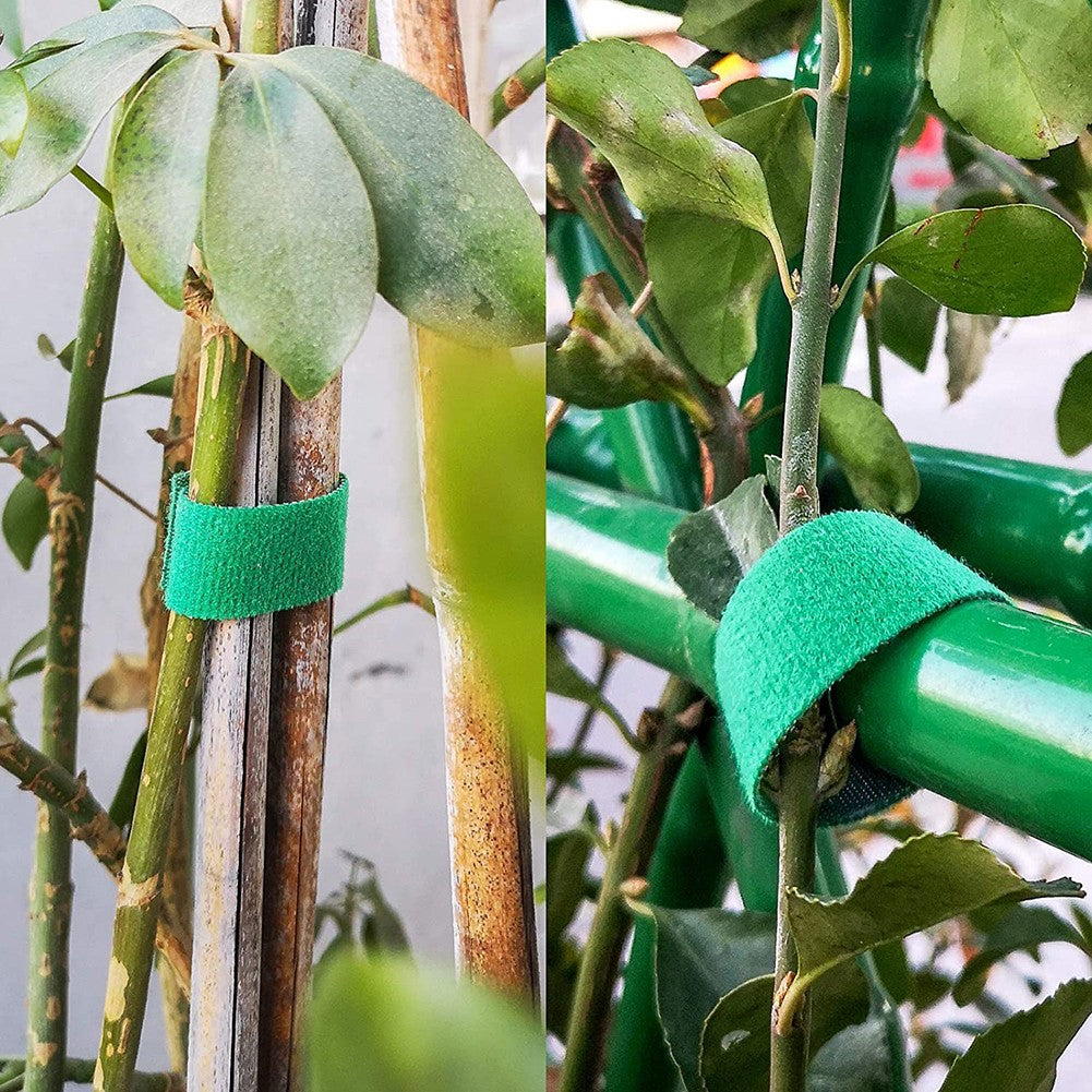 Self-adhesive nylon cable ties | Stornfield
