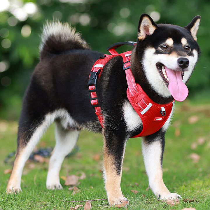 Reflective Dog Harness | Stornfield
