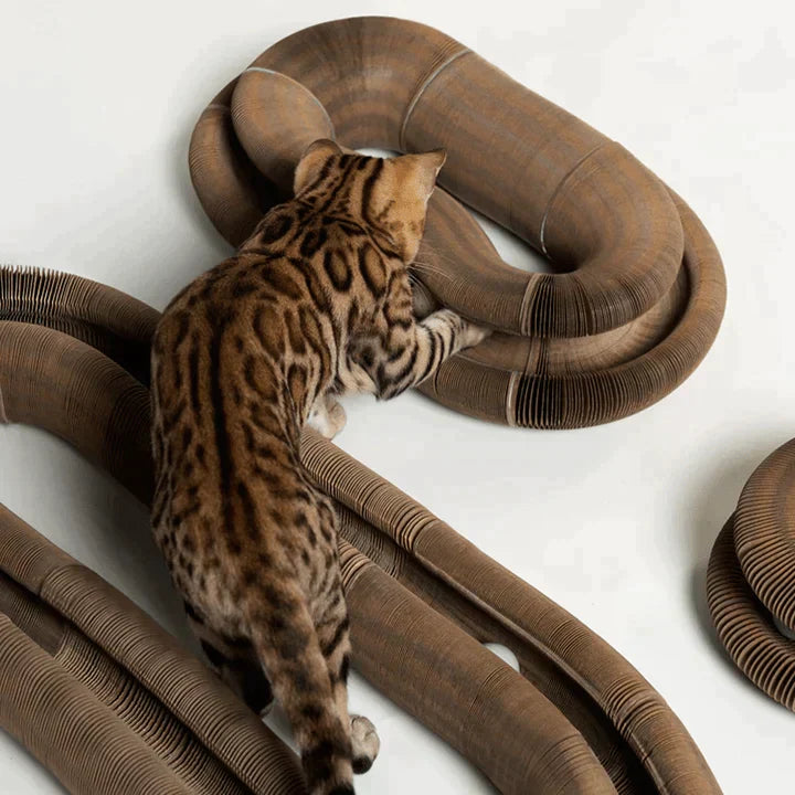 Cat toy | Stornfield