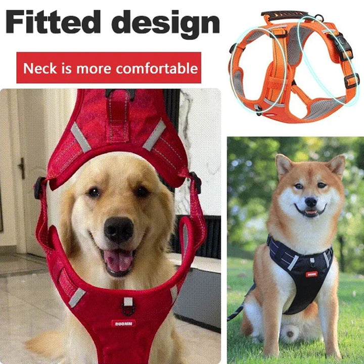 Stornfield | Reflective Dog Harness