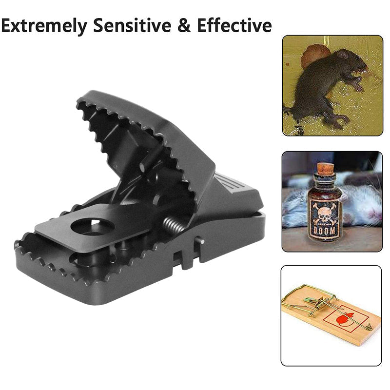 Reusable Traps Rat Catching | Stornfield