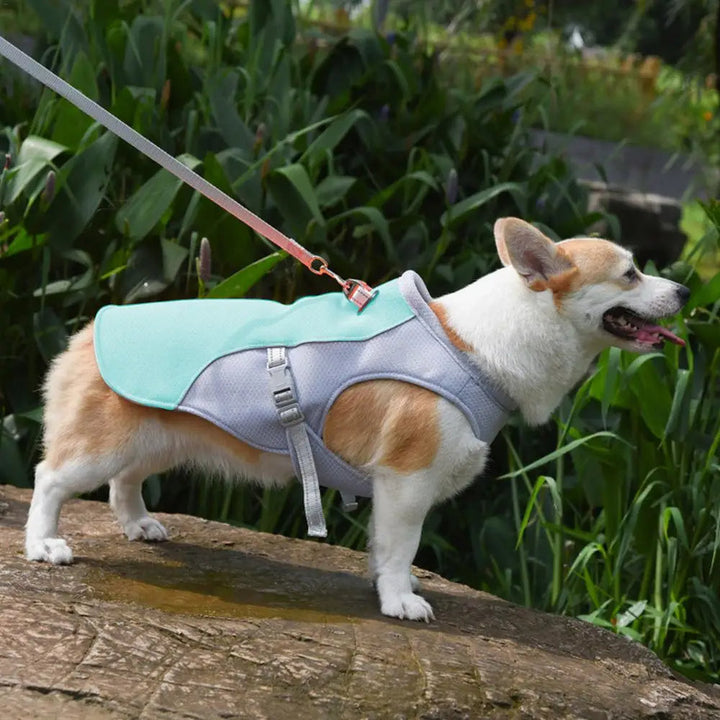 Dog Cooling Vest for Outdoor Activities | Stornfield