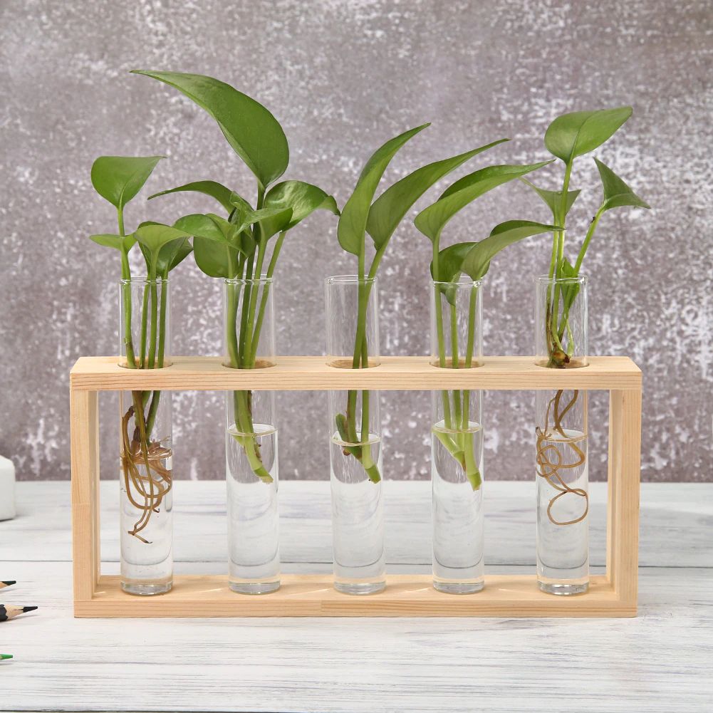 Stornfield | Test Tube Vase