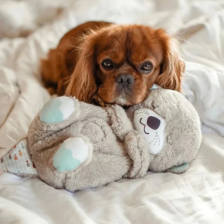 Stornfield | Peluche Otarie Apaisant