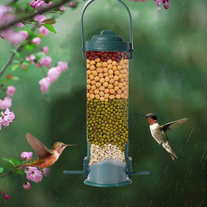 Squirrel-proof birdhouse | Stornfield