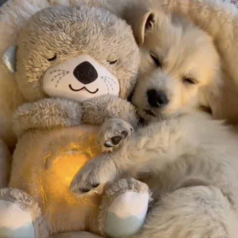 Stornfield | Peluche Otarie Apaisant
