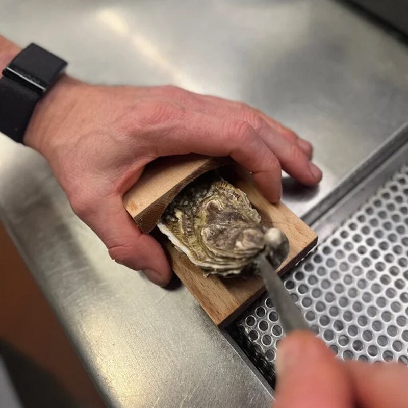 Stornfield | Pince d'ouverture Oyster
