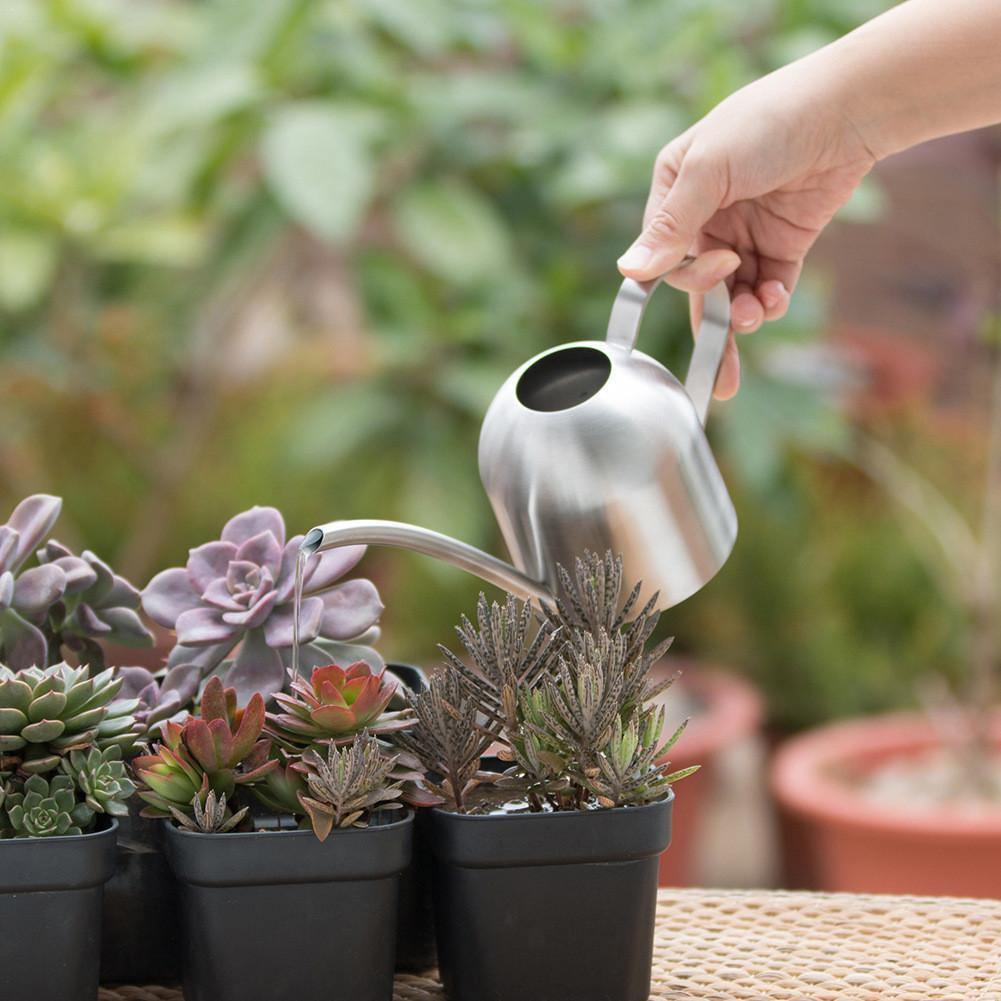 Stornfield | AquaGrace Stainless Steel Watering Can with Flexible Spout | Modern Design | Perfect Watering | Rust-Resistant