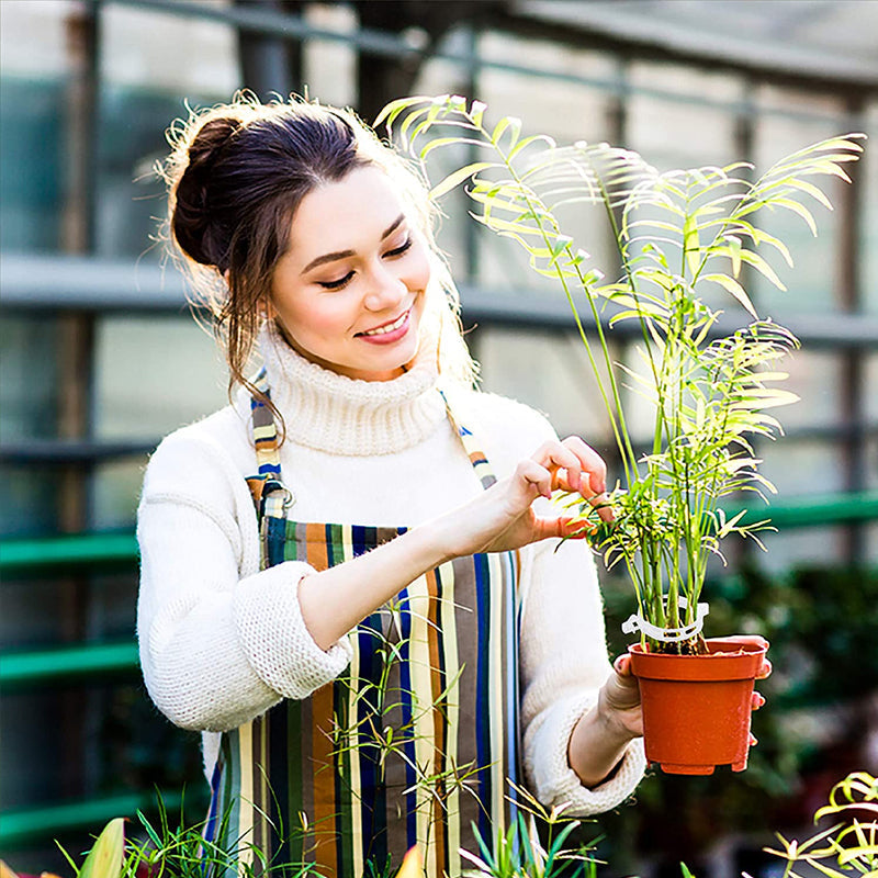 Plastic ring for holding plants | Stornfield