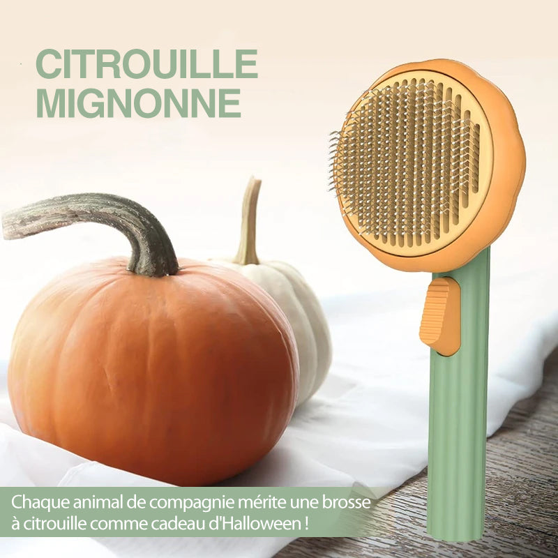Pumpkin Comb Brush for Pets | Stornfield
