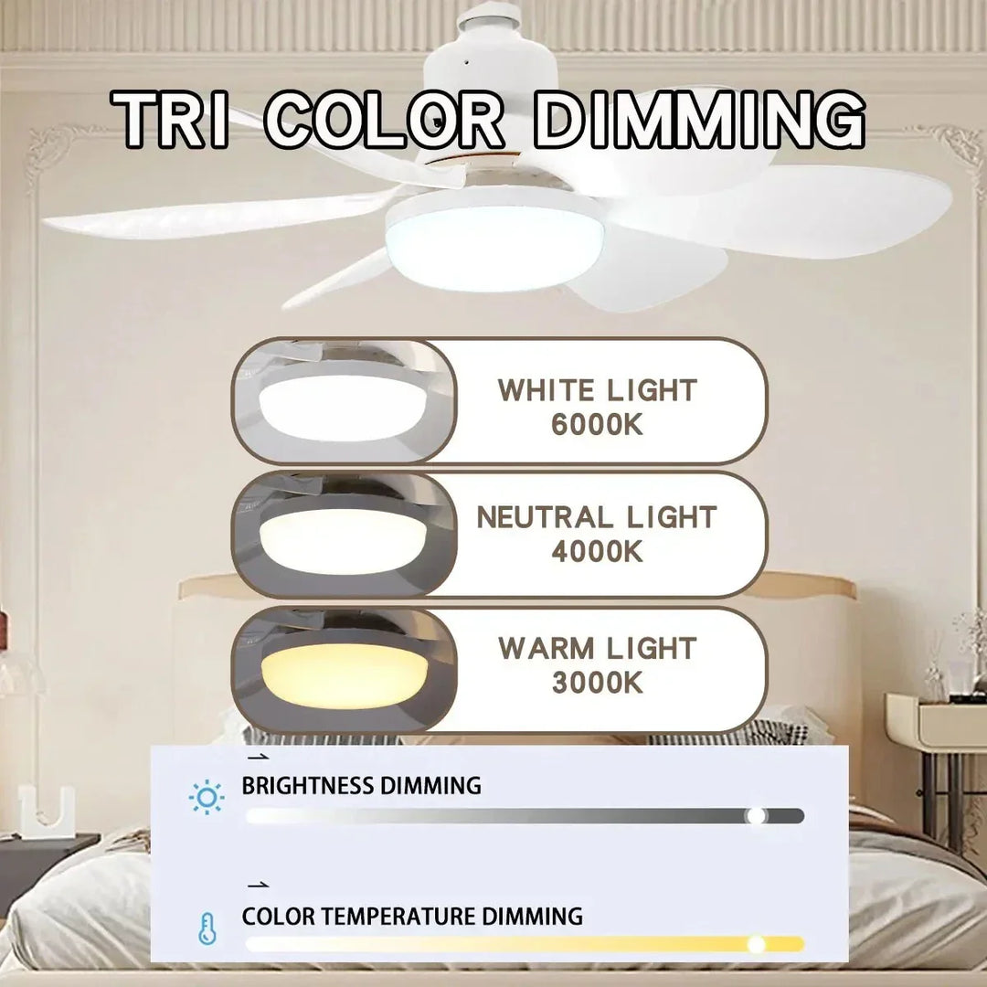Ceiling fan LED with remote control and dimmable light | Stornfield